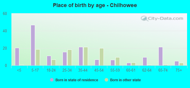 Place of birth by age -  Chilhowee