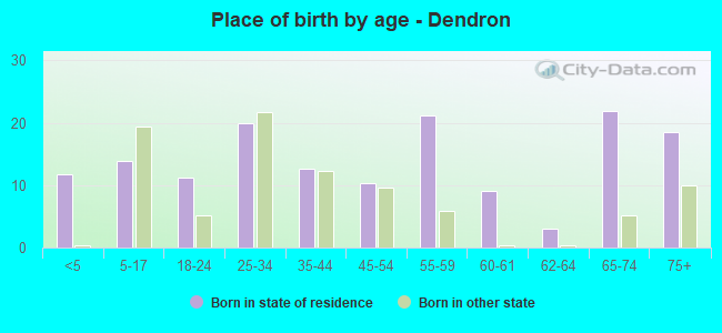 Place of birth by age -  Dendron