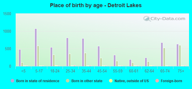 Place of birth by age -  Detroit Lakes