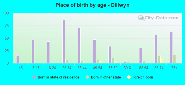 Place of birth by age -  Dillwyn