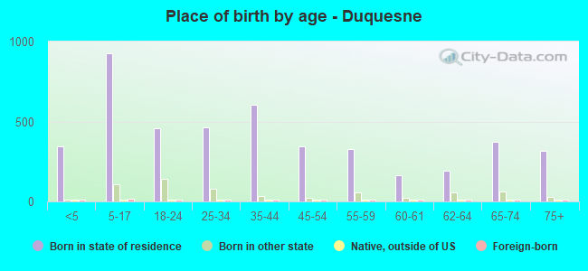 Place of birth by age -  Duquesne