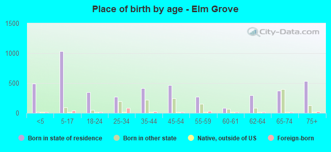 Place of birth by age -  Elm Grove