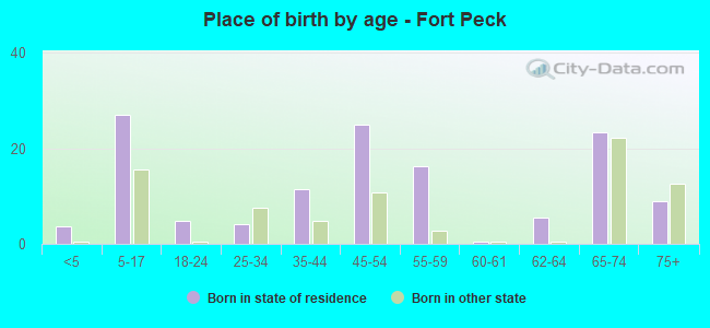 Place of birth by age -  Fort Peck