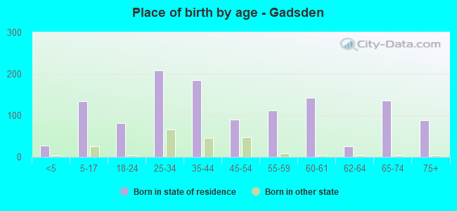 Place of birth by age -  Gadsden