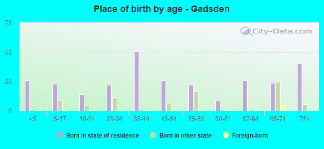 Place of birth by age -  Gadsden