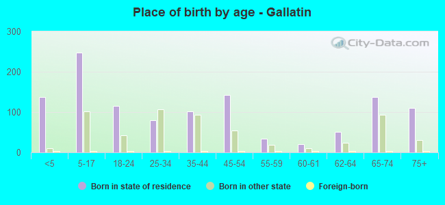 Place of birth by age -  Gallatin