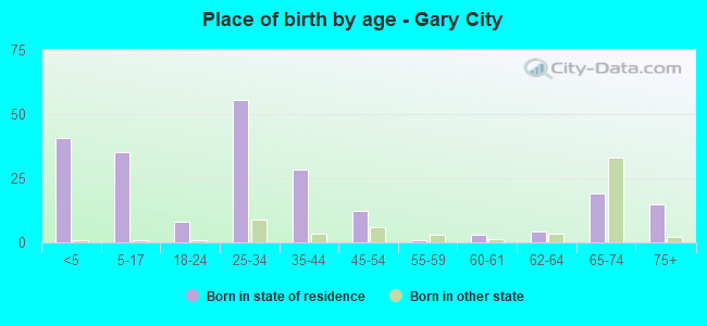 Place of birth by age -  Gary City