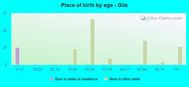 Place of birth by age -  Gila