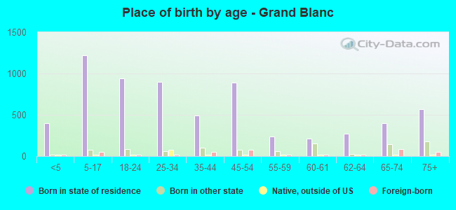 Place of birth by age -  Grand Blanc