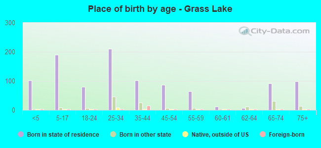 Place of birth by age -  Grass Lake