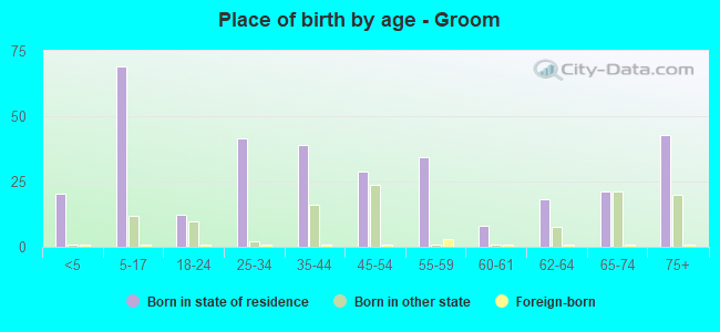Place of birth by age -  Groom