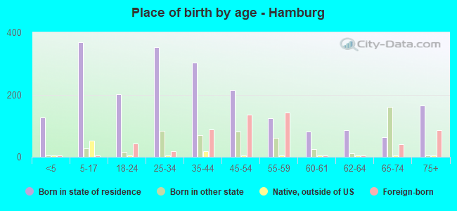 Place of birth by age -  Hamburg