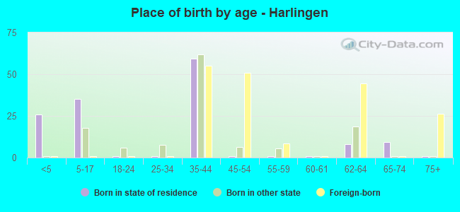 Place of birth by age -  Harlingen