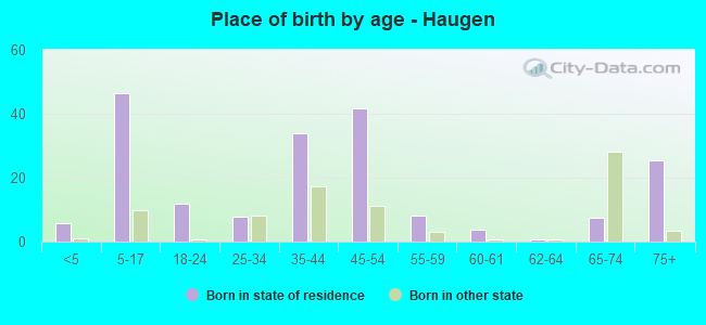 Place of birth by age -  Haugen
