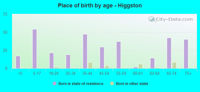 Place of birth by age -  Higgston