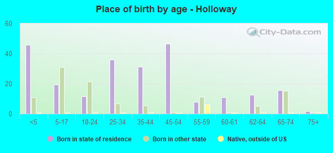 Place of birth by age -  Holloway