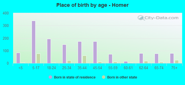 Place of birth by age -  Homer
