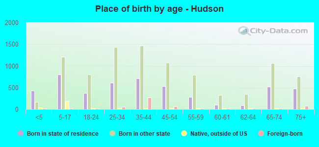 Place of birth by age -  Hudson