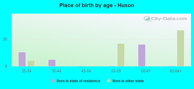 Place of birth by age -  Huson