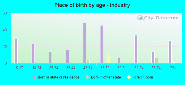 Place of birth by age -  Industry