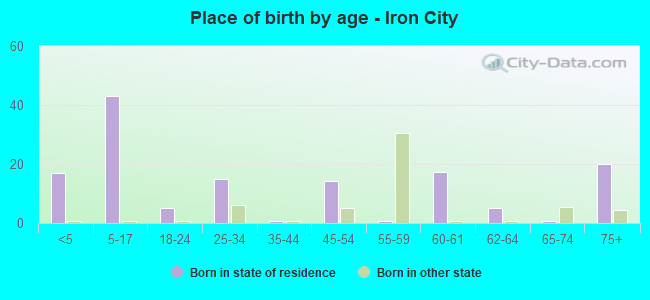 Place of birth by age -  Iron City