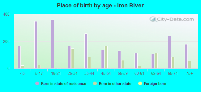 Place of birth by age -  Iron River