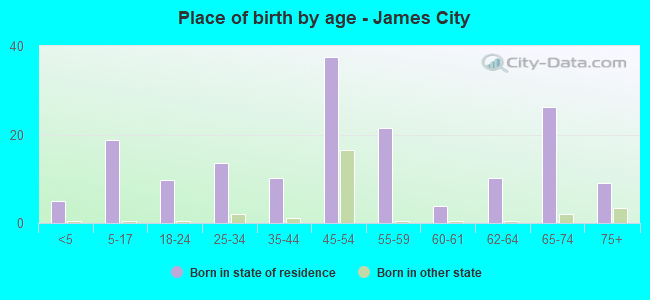 Place of birth by age -  James City