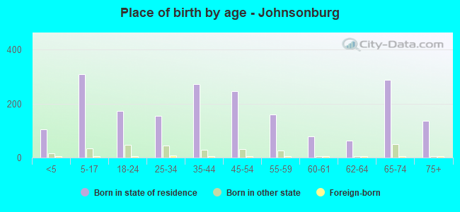 Place of birth by age -  Johnsonburg