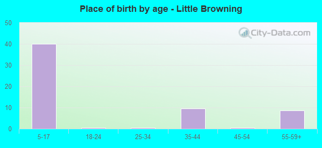 Place of birth by age -  Little Browning
