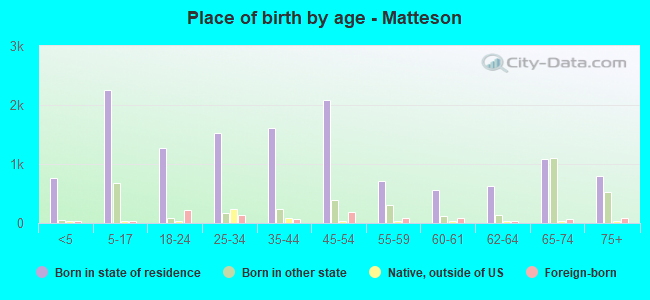 Place of birth by age -  Matteson