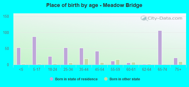 Place of birth by age -  Meadow Bridge