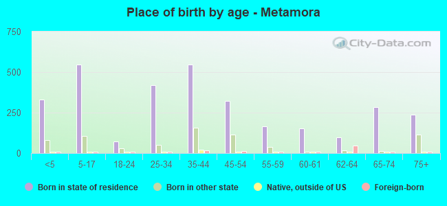 Place of birth by age -  Metamora