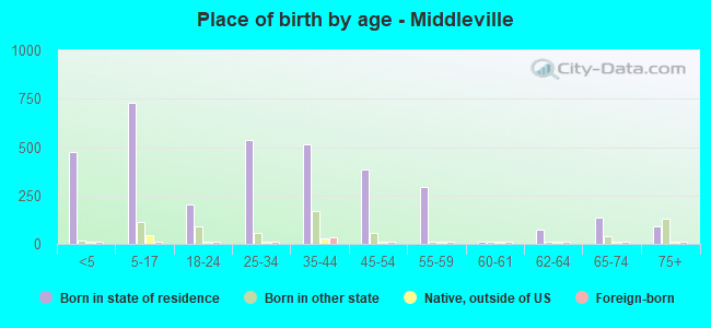 Place of birth by age -  Middleville