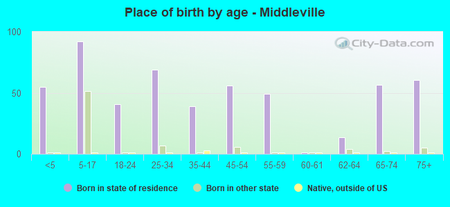 Place of birth by age -  Middleville