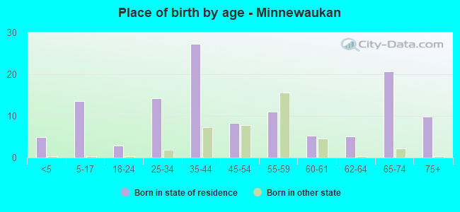 Place of birth by age -  Minnewaukan