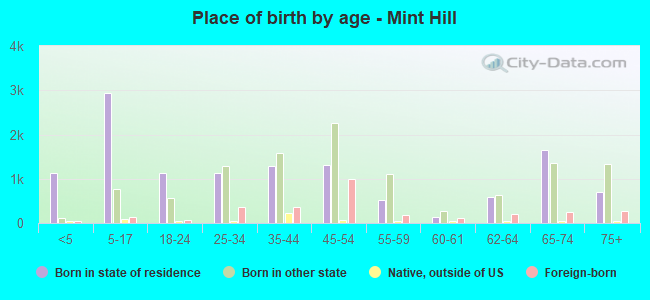 Place of birth by age -  Mint Hill