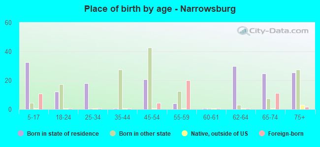 Place of birth by age -  Narrowsburg