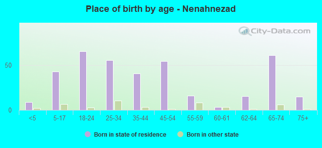 Place of birth by age -  Nenahnezad