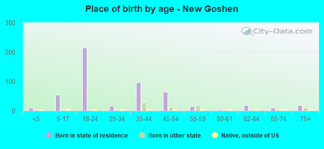 Place of birth by age -  New Goshen