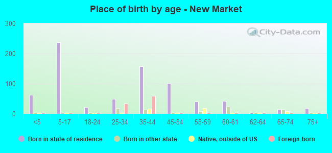 Place of birth by age -  New Market