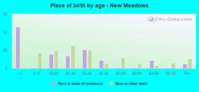 Place of birth by age -  New Meadows