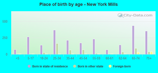 Place of birth by age -  New York Mills