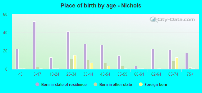 Place of birth by age -  Nichols