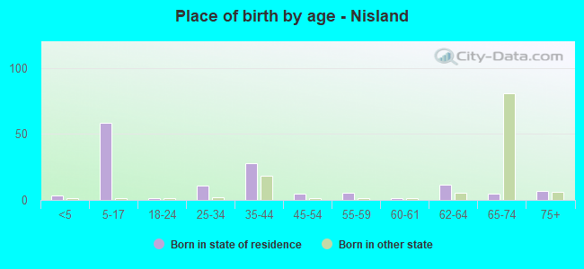Place of birth by age -  Nisland
