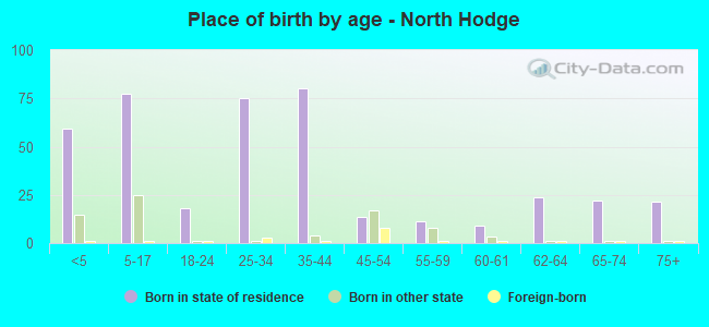 Place of birth by age -  North Hodge