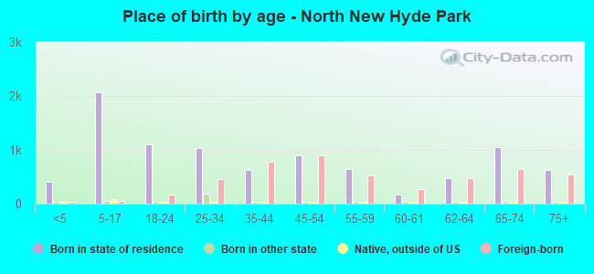 Place of birth by age -  North New Hyde Park