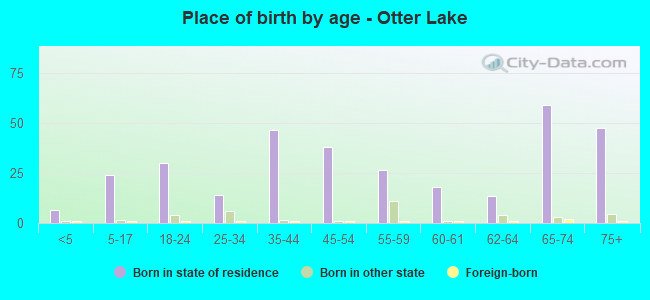 Place of birth by age -  Otter Lake