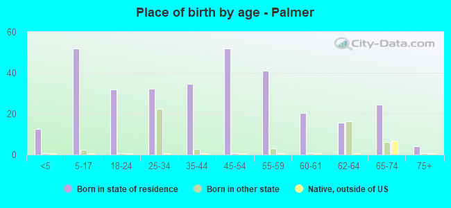 Place of birth by age -  Palmer