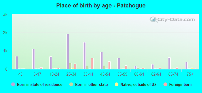 Place of birth by age -  Patchogue