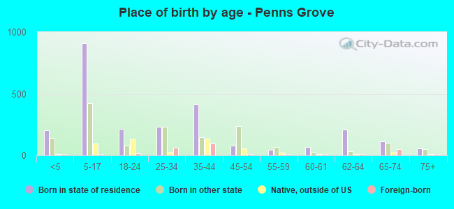 Place of birth by age -  Penns Grove